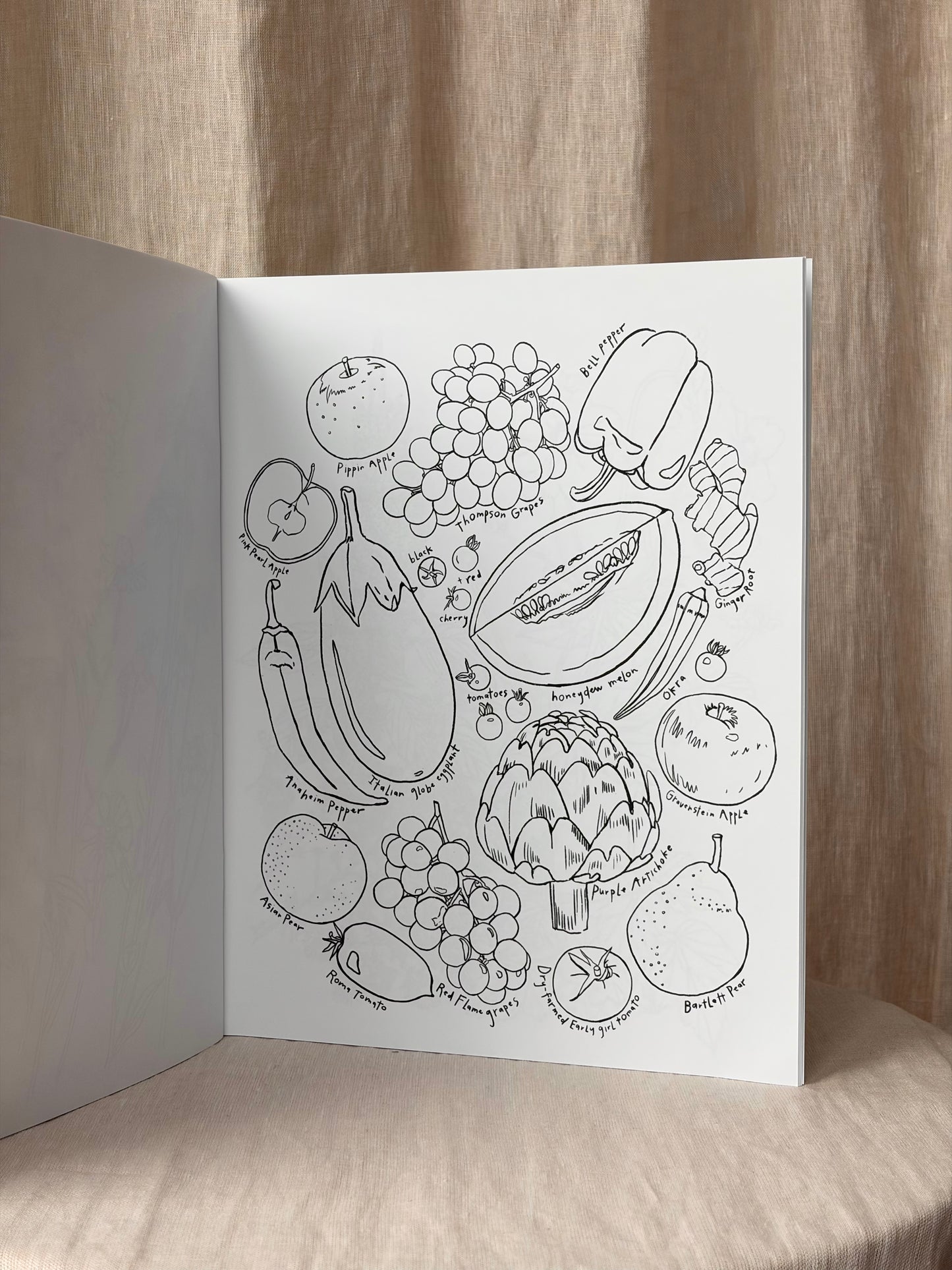 A Garden For All Seasons Coloring Book
