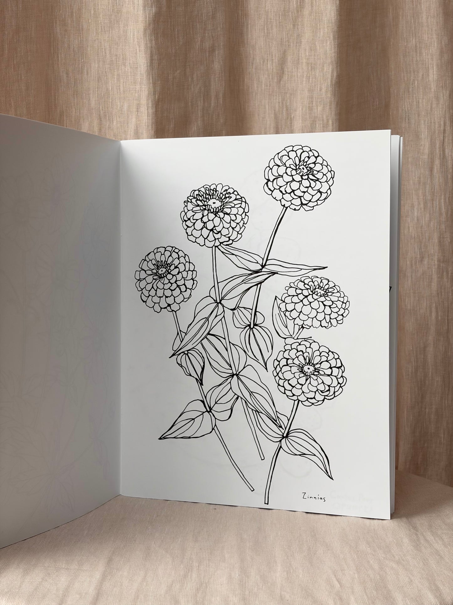 Buds Along the Path Coloring Book