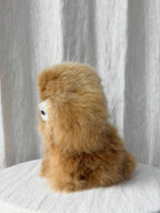 Alpaca Dog