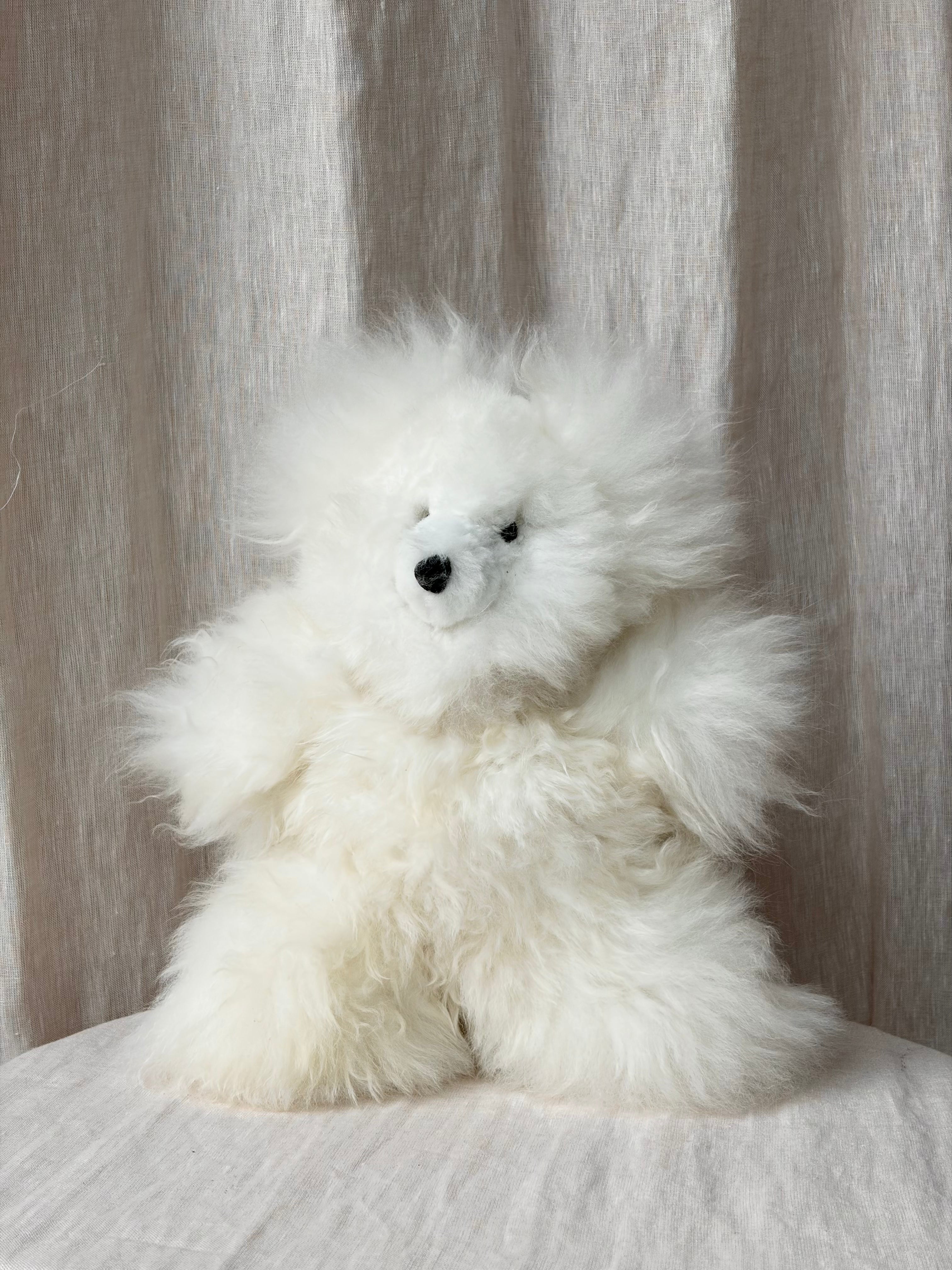 Alpaca Bear - White - Medium