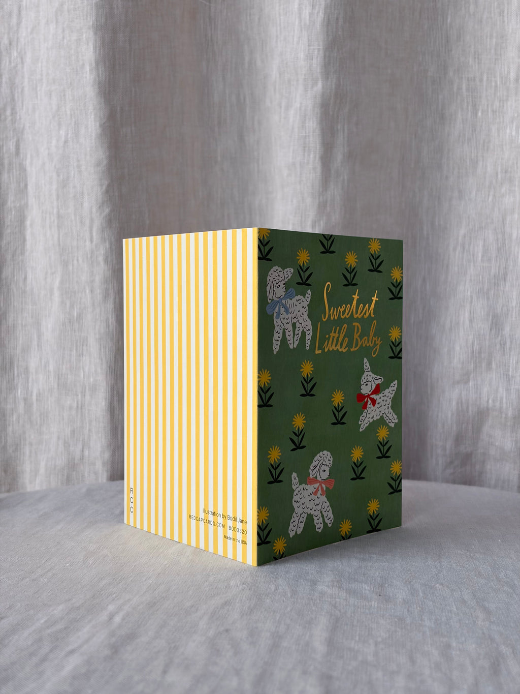 Little Lamb Greeting Card