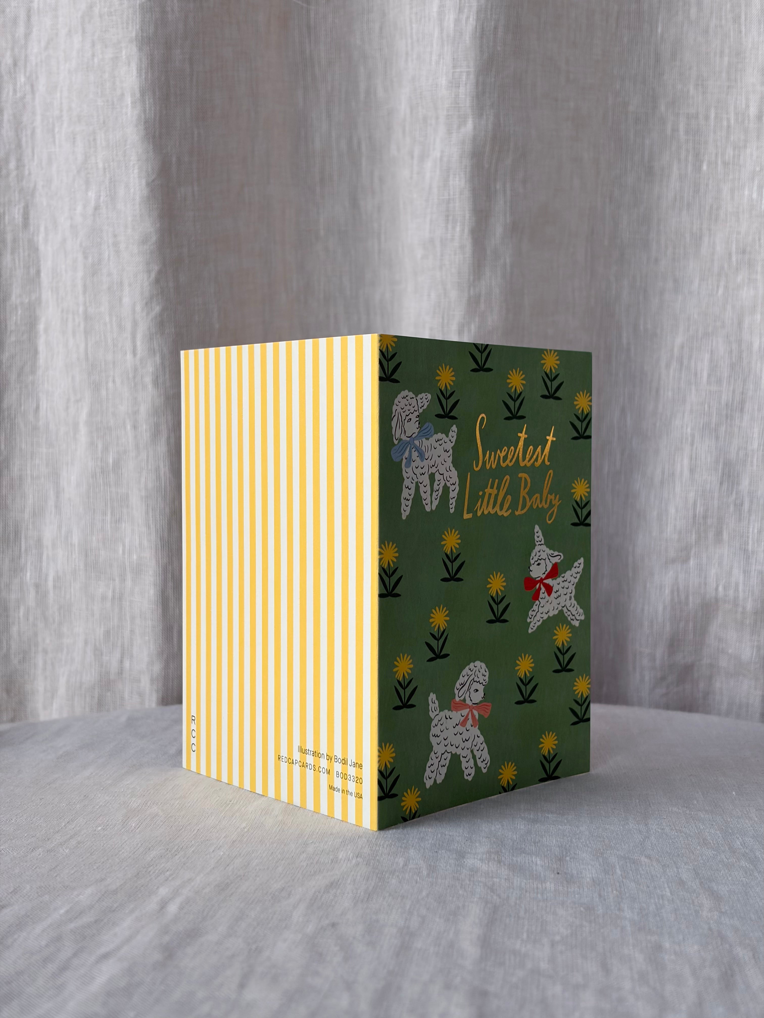 Little Lamb Greeting Card