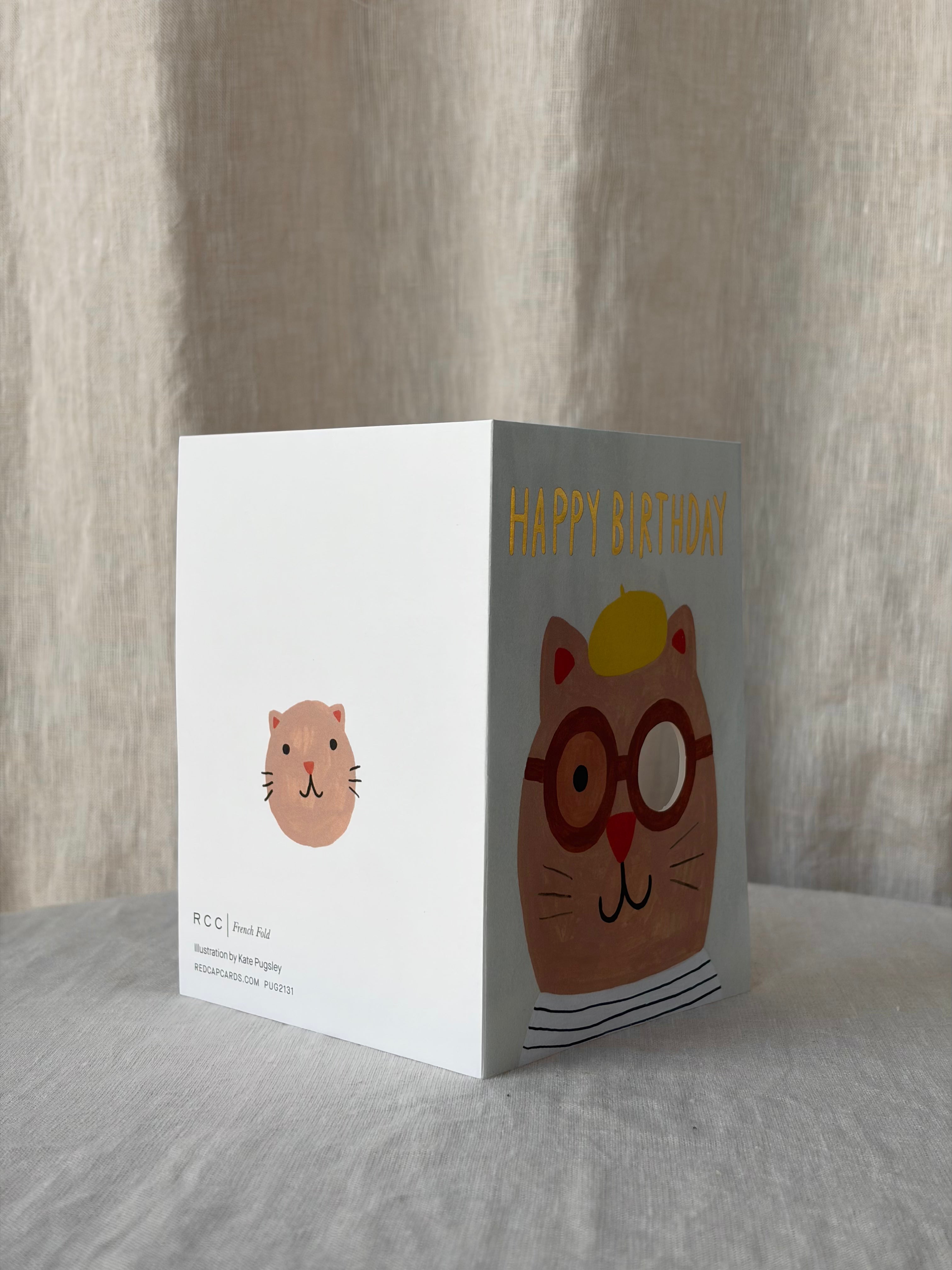 Lots of Cats Birthday Greeting Card