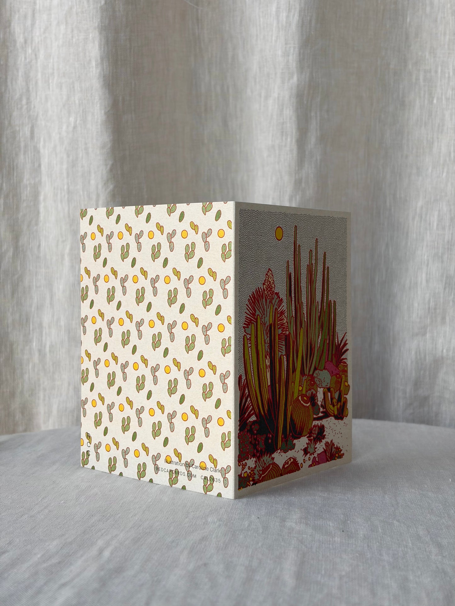 Cactus Scene Everyday Greeting Card