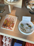 Cactus Scene Everyday Greeting Card