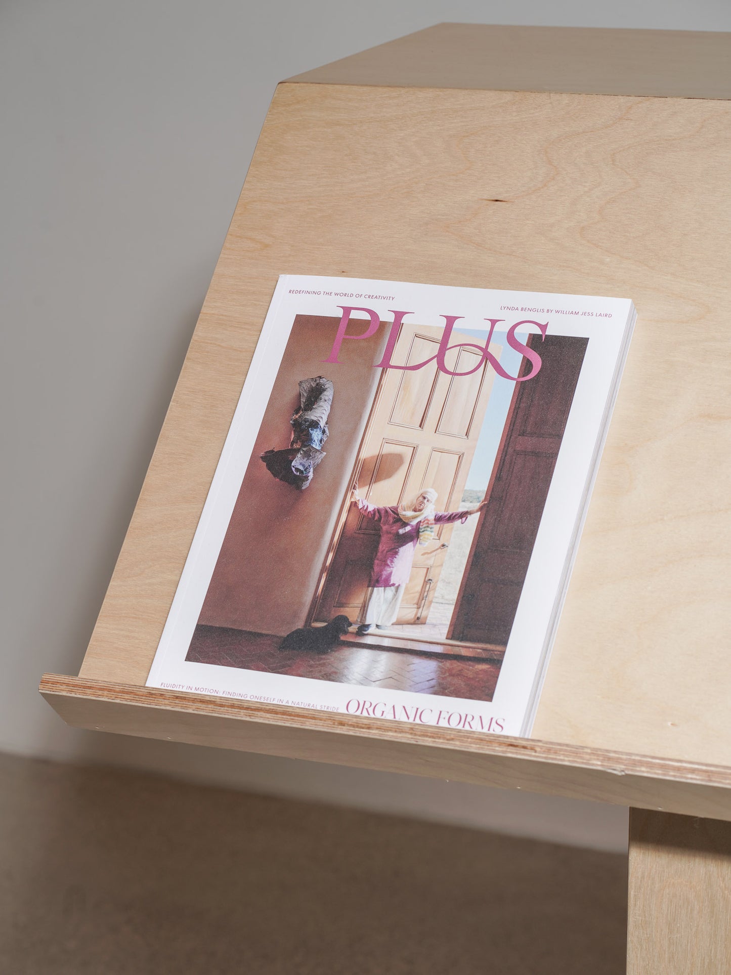 Plus Magazine Issue 6 - Lynda Benglis Cover