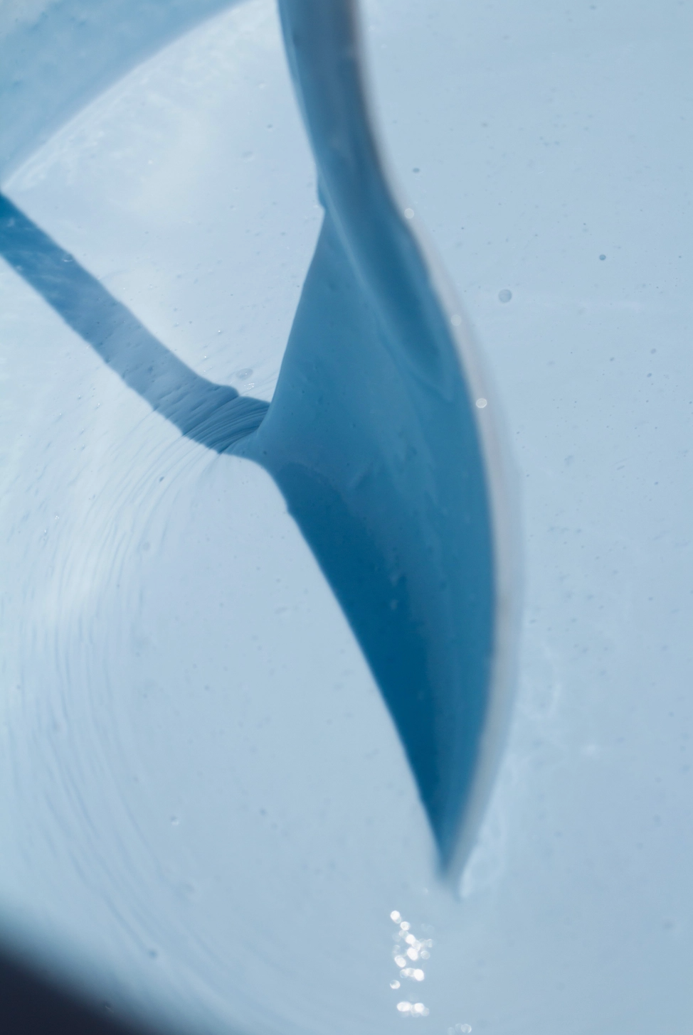 Moisture Riser Cream